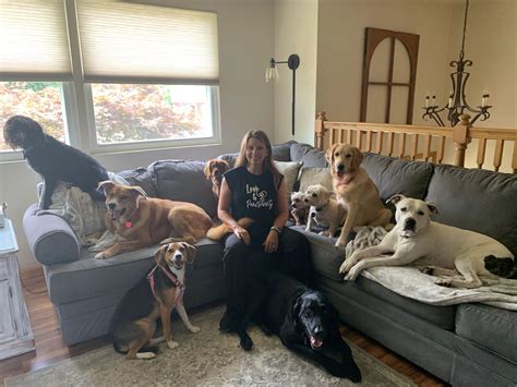 Dog Massage - Love and Pawsitivity