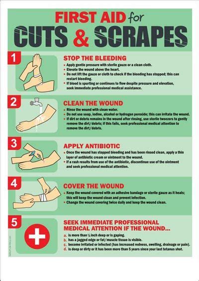 First Aid Chart For Schools The O Guide