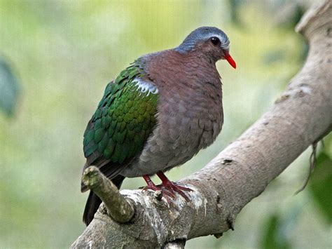 We are working hard to share the details as soon as possible. Kank Yoga Story: Maret 2014