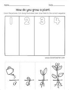 Which comes first, second and third, sequence activity for kids in 2020