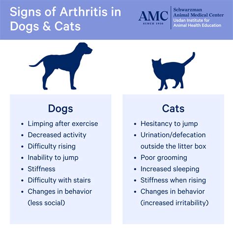 How Is Arthritis Diagnosed In Dogs