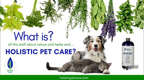 What is Holistic Pet Care? - Holistic Pet Care