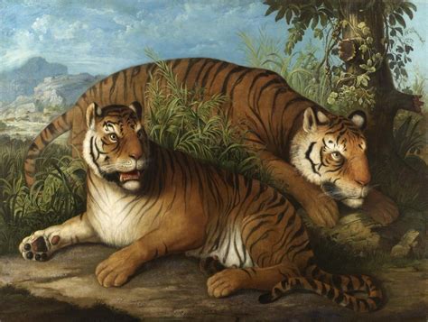 Filejohann Wenzel Peter Royal Bengal Tigers Wikimedia Commons