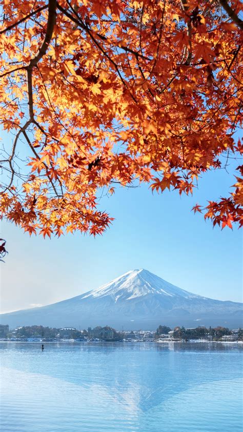 Fuji Mountain Red Maple Leaves Lake Autumn Japan 1242x2688 Iphone