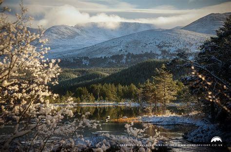 Loch Morlich A Stunning Landscape In Cairngorms National Park
