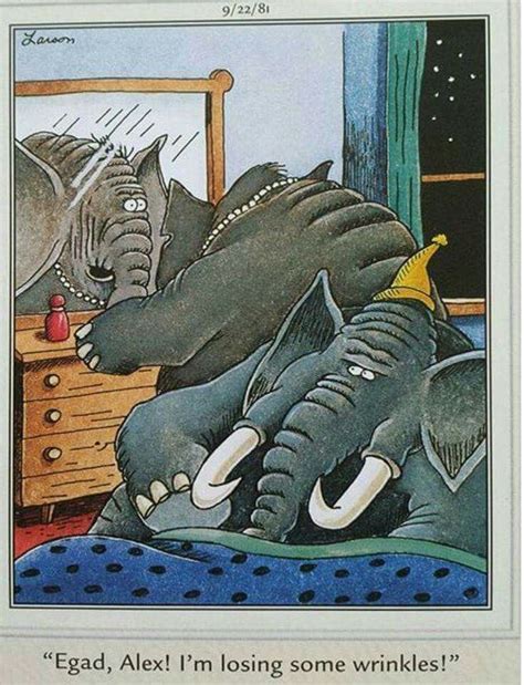 The Far Side By Gary Larson Alex Isnt The First Husband To Hear