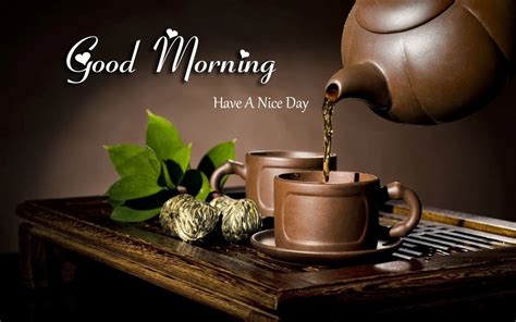 Good Morning And Good Night Sms Morning Wishes Good Night Wishes