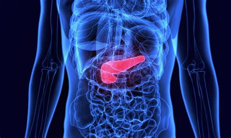 Researchers Identify Pancreatic Cancer Protein Drug Target