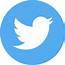 Circle Logo Media Network Share Social Twitter Icon