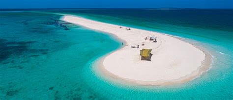 Safari Blue In Zanzibar