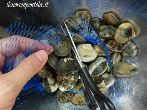 La differenza sostanziale tra vongole veraci e lupini riguarda due aspetti principali: Come pulire e spurgare le vongole
