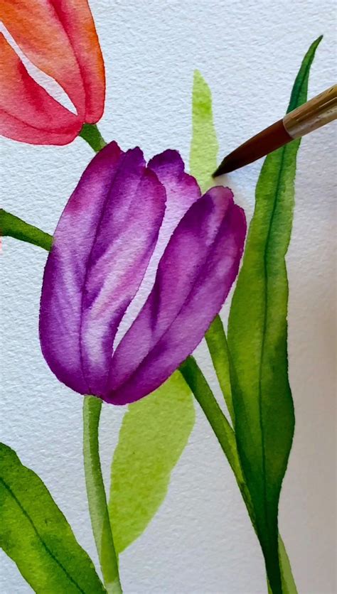 Watercolor Tulip Process Video Sharing My Process For Some Simple