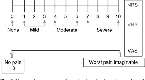 Figure 1 From Assessment Of Pain Semantic Scholar
