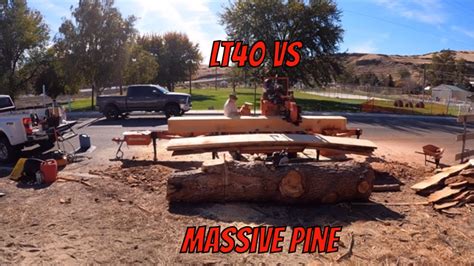 Giant Ponderosa Pine Vs Wood Mizer Lt40 The Winner Is The Wood Mizer