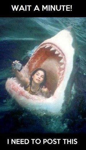 Fortunately, he knows kung fu. The 20 Funniest Moments In Shark History (GALLERY ...