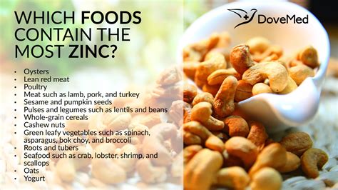 What are foods rich in zinc? Which Foods Contain The Most Zinc?
