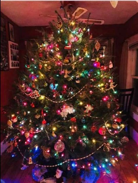Pin By Jen Hartnett On Christmas Treesinside Christmas Holidays