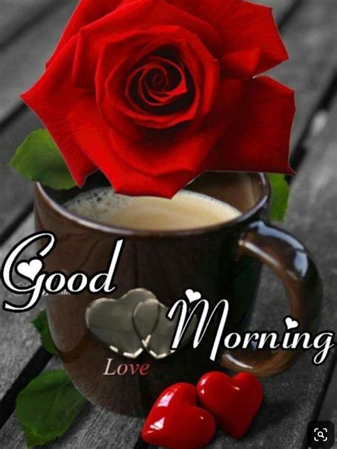 Pin By Sidney Jones On Sendlv Good Morning Love Good Morning Roses