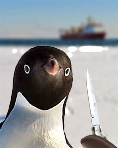 The Internet Had A Field Day Photoshopping This Epic Posing Penguin