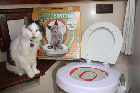 A cat training seat is a small contraption placed over the toilet bowl. Turf to Surf | Sailing with Cats: Toilet Training our Boat ...