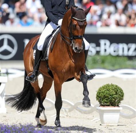 Die polizei geht davon aus, dass. Millionenstreit um fehlerhafte Behandlung von Olympia ...