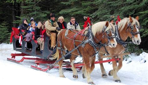 Sleigh Ride Dinner In Park City North Forty Escapes Sleigh Ride