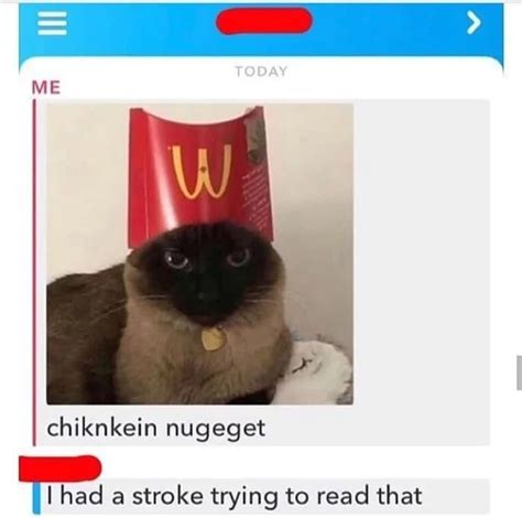 She rarely stopped at one. Do You Think The Caption For This Cat Wearing A McDonald's ...