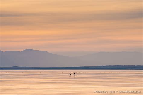 Conversations Salton Sea Alexander S Kunz Photography