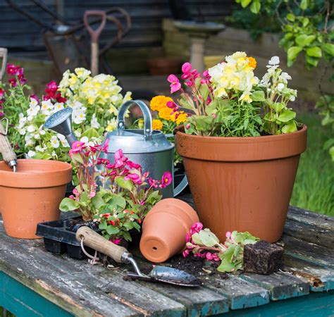 Flower Garden And Gardening Care And Tips