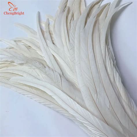 chengbright wholesale 50pcs 30 35cm new beige rooster tail feathers for decoration craft feather