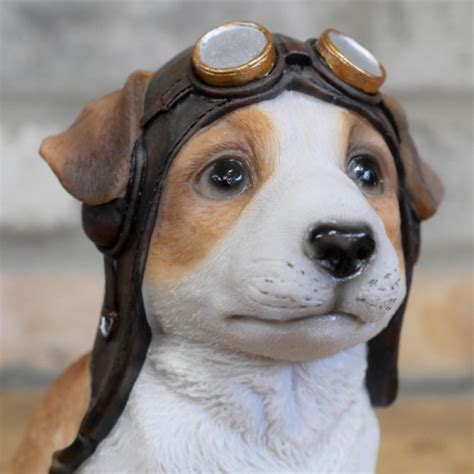 Dog Pilot