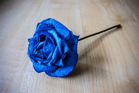 Why Are Blue Roses Special Unveiling Their Unique Symbolism Petal