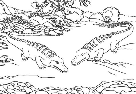 Search through 623,989 free printable colorings at getcolorings. Free Printable Alligator Coloring Pages For Kids | Cool2bKids
