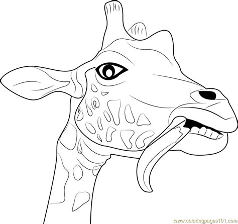 Giraffe Funny Face Coloring Page For Kids Free Giraffe Printable