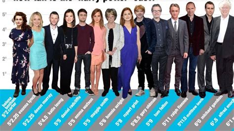'Harry Potter' Height Chart: Who's The Tallest Actor? - MTV