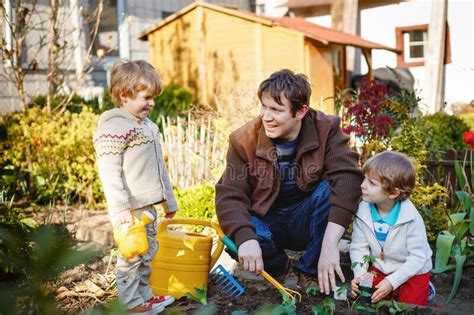 Zwei Kleine Jungen Und Vater Die Samen Und Erdbeeren Und Tomatenpflanzen Im Garten Im Freien