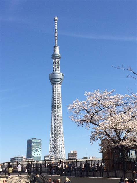 The best times to visit tokyo are fall (late september to november) and spring (march/april/may) summer (late june to the end of august) in tokyo is hot and humid. High times in the Tokyo Skytree