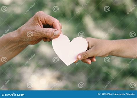 Childs Hand And Old Hand Grandmother Hold Heart Stock Photo Image Of