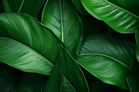 Premium Ai Image Tropical Leaf Abstract Green Leaf Texture In Nature