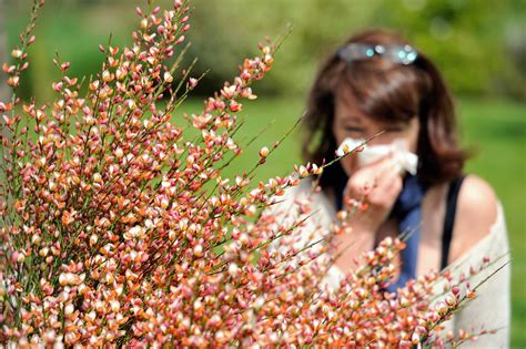 Spring Allergy Season Brings High Pollen Count