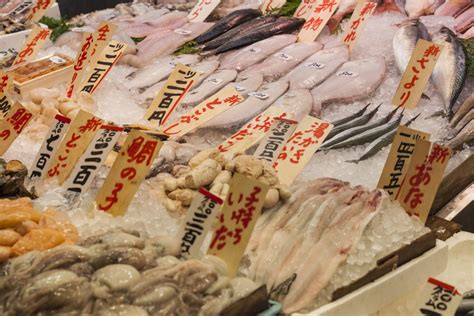 7 Best Japanese Fish Markets Japan Rail Pass