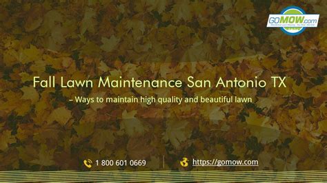 Fall Lawn Maintenance San Antonio Tx Ways To Maintain High Quality