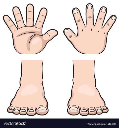 Clipart Hands And Feet