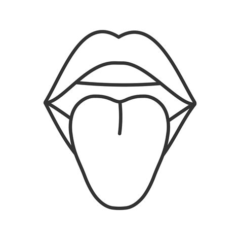 Update More Than 77 Oral Cavity Sketch Latest Ineteachers