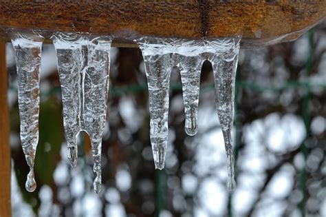Premium Photo Icicles Hanging From A Tree Branch