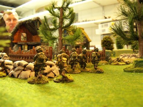 Mikes Miniatures Collectors Battlefield Wargame System A Short Review