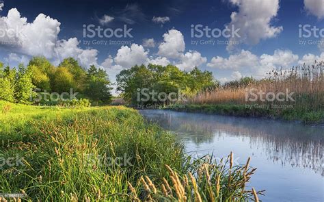 Colorful Spring Landscape On The Misty River Stock Photo Download