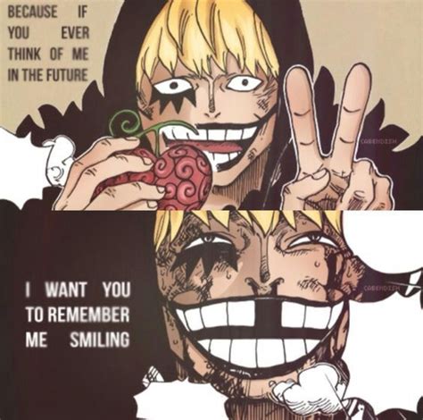 One Piece Quote 33 Anime Amino