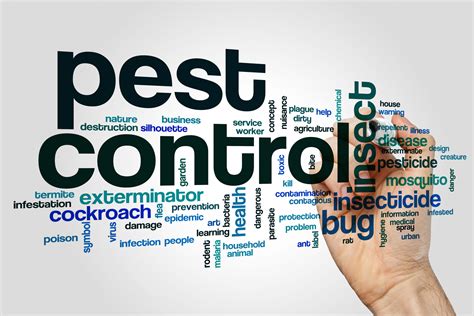 5 Key Insights Whats The Difference Between An Omaha Exterminator And Omaha Pest Control