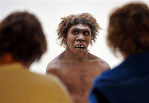 humans and neanderthals had hot prehistoric sex earlier than thought